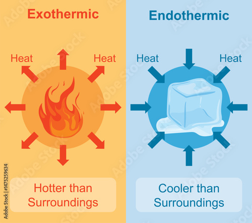 Endothermic and Exothermic chemical reactions vector illustration.
