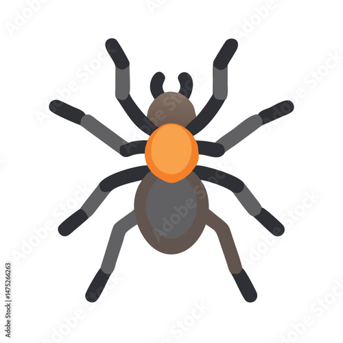 Simple flat vector illustration of a tarantula spider