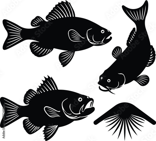 Detailed Catfish Silhouette Set | Freshwater Fish Vector Icons Catfish Silhouettes Collection | Fishing, River Fish, Aquatic Graphic Pack