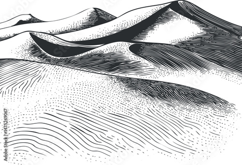 Black and white illustration of rolling sand dunes in a desert landscape with detailed textures and patterns.