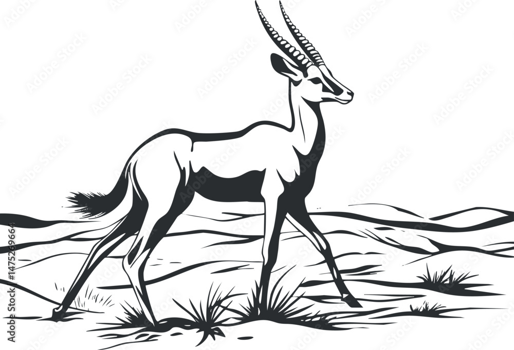 Fototapeta premium Black and white vector illustration of an antelope walking in a desert landscape with sparse grass