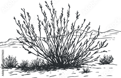Black and white sketch of desert brush and shrubs with mountainous background landscape