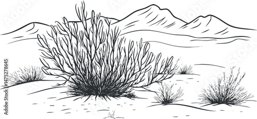 Black and white line drawing of desert landscape with bushes and distant mountains