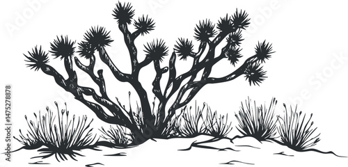 Black and white illustration of a desert shrub with spiky branches and surrounding dry vegetation