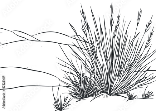 Black and white illustration of desert grass and plants growing among sand dunes in an arid environment