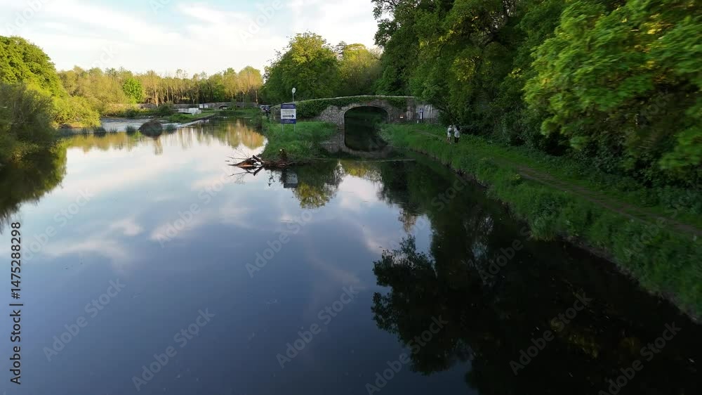 reflection of trees in the river