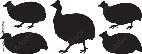 Guinea Fowl Silhouettes art vector