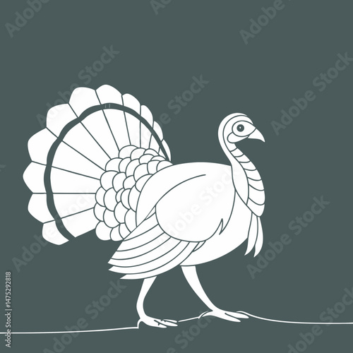 Drawing a continuous line. Turkey on background