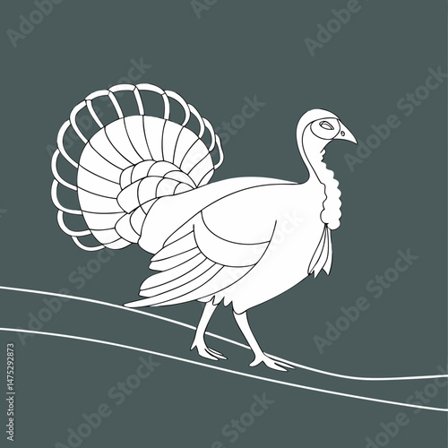 Drawing a continuous line. Turkey on background