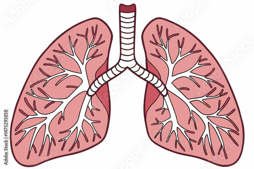 130 anatomically detailed digital illustration of the human lungs, highly realistic, hyperrealistic, scientifically accurate, detailed bronchi and alveoli, photorealistic, 8k, cinematic lighting