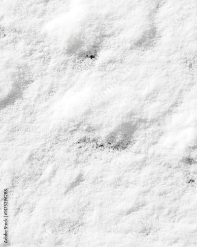 Aerial view of fresh white snow covering ground in winter season; close up texture of snowdrifts in natural setting