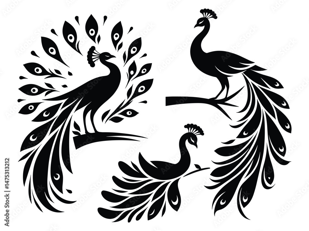 Fototapeta premium Peocock Vector Icon Pack
