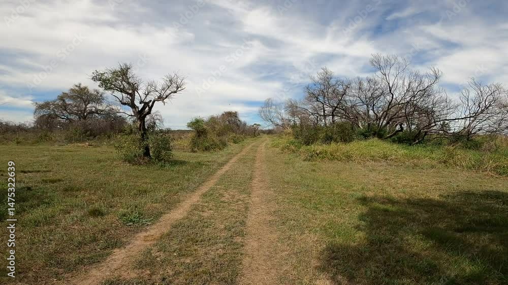 campo campo