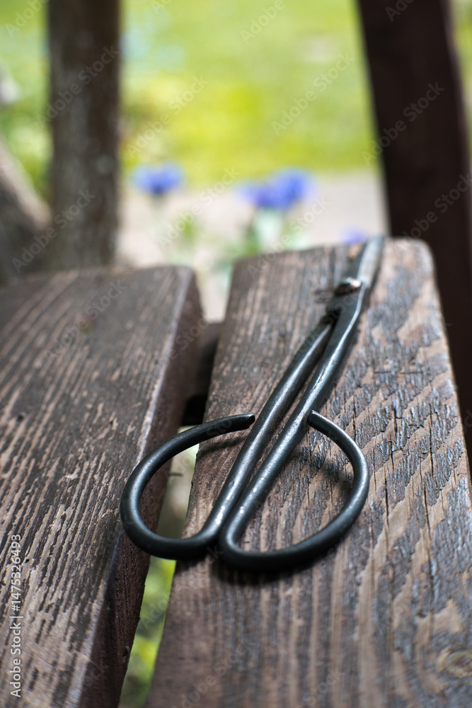 Garden scissors, hand tool, gardening.