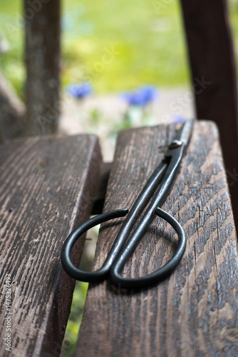 Obraz na płótnie Garden scissors, hand tool, gardening.
w salonie