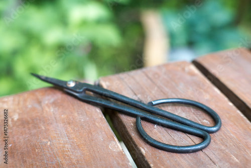 Obraz na płótnie Garden scissors, hand tool, gardening.
w salonie