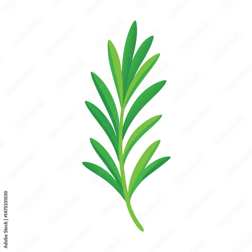 Fototapeta premium Simple green rosemary sprig herb illustration vector on white background