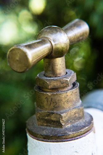 Obraz na płótnie Brass water valve, garden irrigation.
w salonie