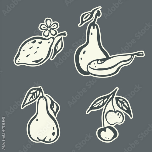 Fruit sticker Set. Doodle icon, hand drawn decorative ink stroke line brush, black sketch contour, fruit symbol cartoon flat design, white background. Various isolated elements. Vector illustration