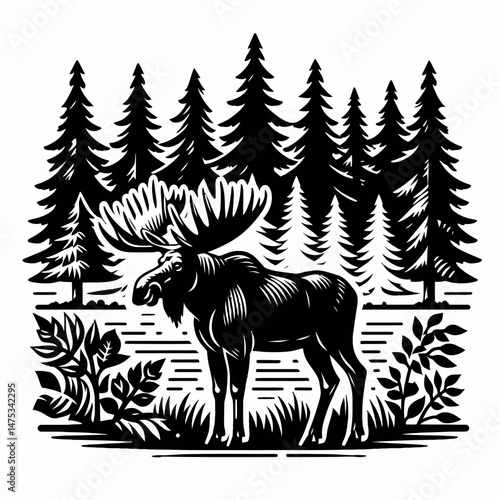 Moose Standing in Front of Forest