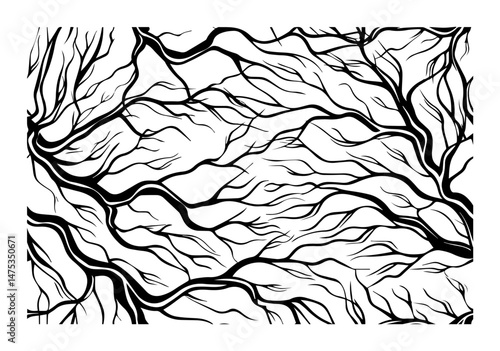 branch vein pattern in hand drawn black vector style