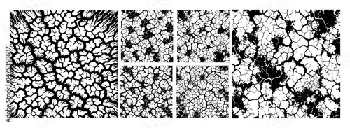 cracked ground texture vector set in grunge black style