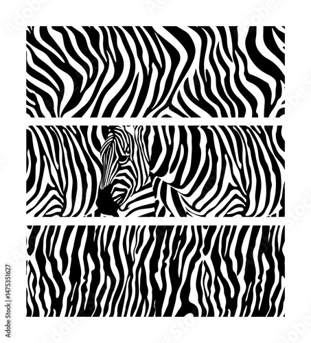 zebra skin pattern and head illustration in black vector style