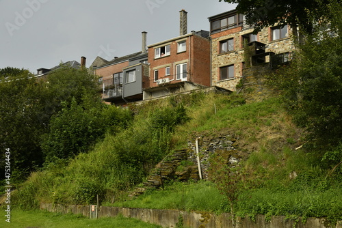 Wallpaper Mural Végétation luxuriante sur le talus longeant les façades arrières des maisons à Vielsalm (Bastogne) Torontodigital.ca