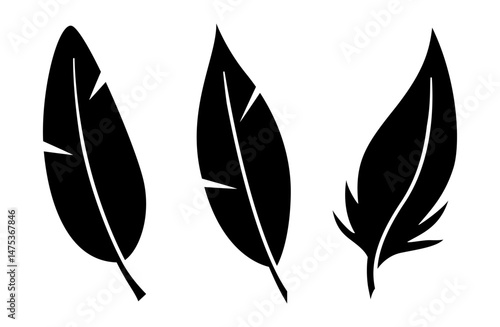 Vector Bird Feathers stamps set isolated on white. Black glyph quill collection in cartoon style