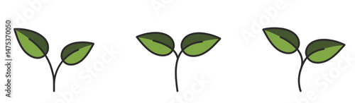 Plant sprouts with two leaves in green colors. Spring, planting and nature design elements. Isolated vector illustrations