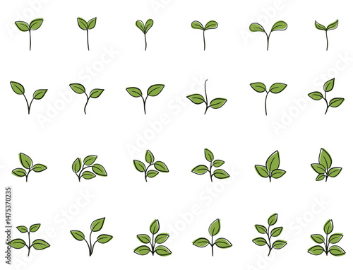 Green plant sprout set. Nature, planting and floral design elements. Isolated vector images