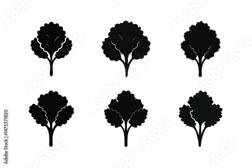  kale black silhouette of curly kale leaves