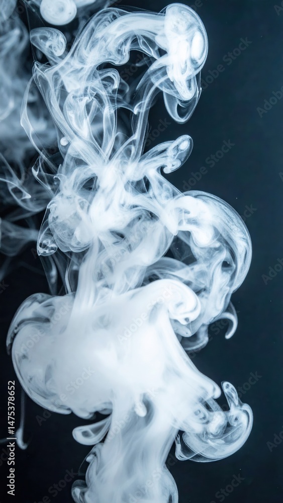 Fototapeta premium Abstract white smoke on black background: ethereal shapes and movements