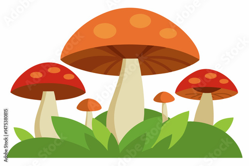 mushrooms in the forest
