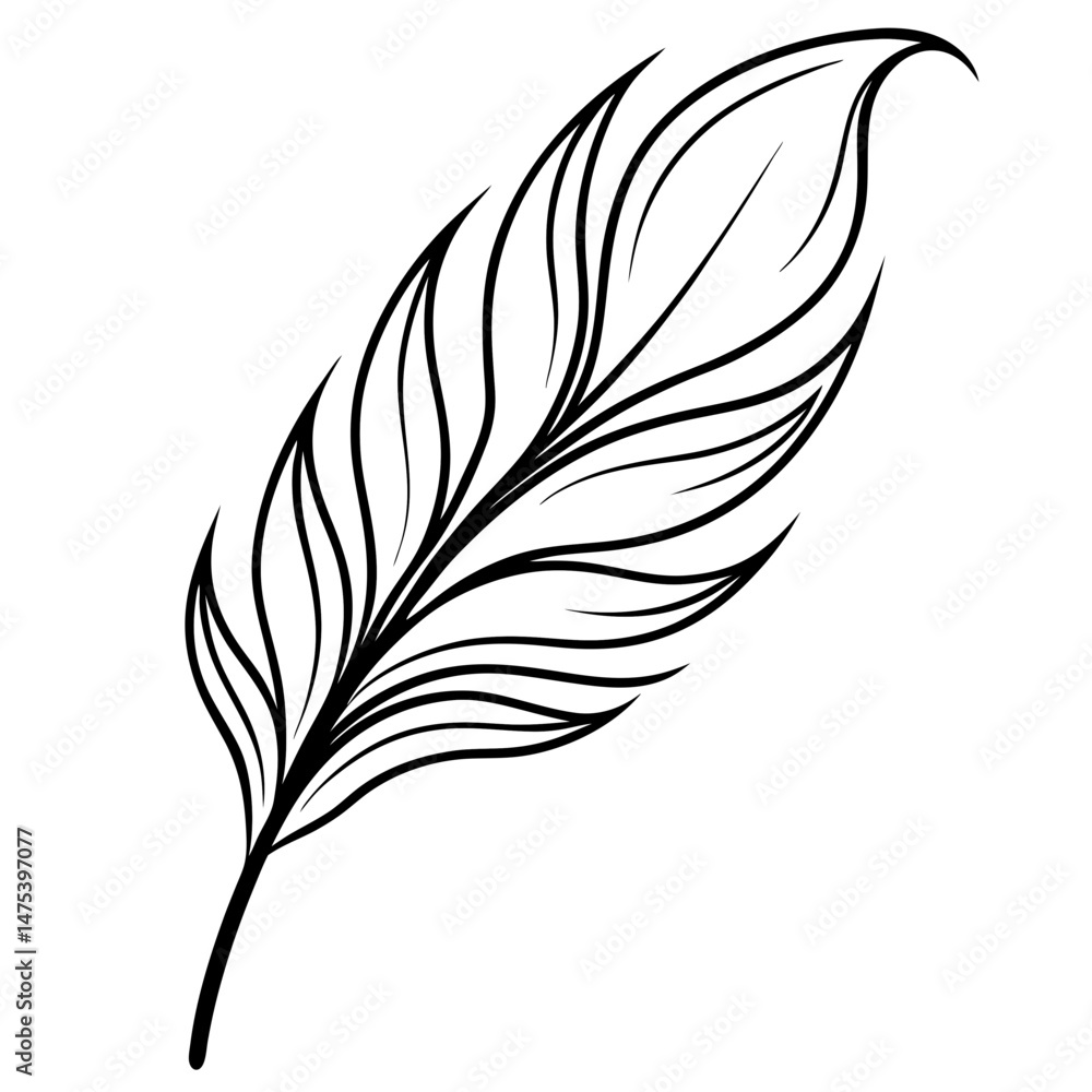 Obraz premium feather on white background