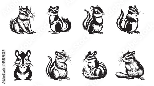 squirrel chipmunk vector illustration set, black and white rodent collection