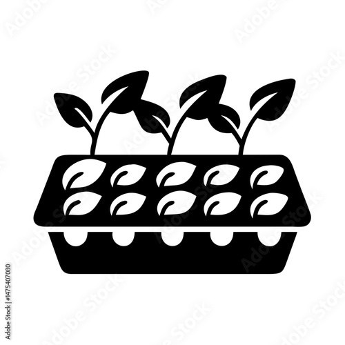 Seedling tray with small plants growing, ready for transplanting to the garden