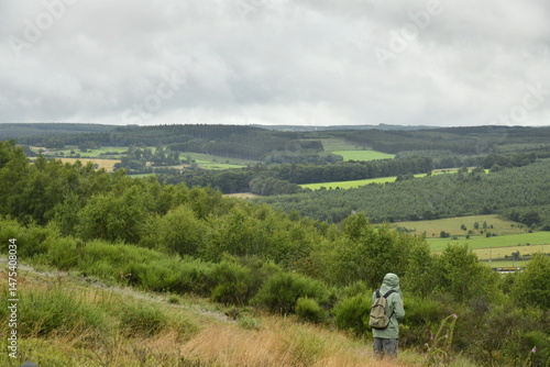 Tableau sur toile Végétation sauvage sur les collines sous un ciel humide à Vielsalm (Verviers)