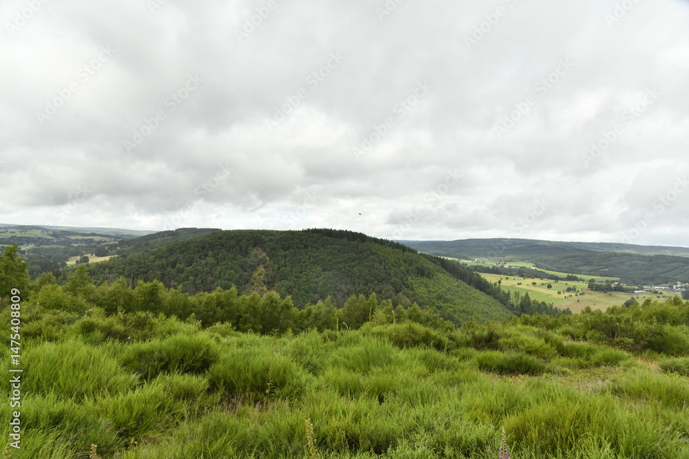 Fototapeta premium Végétation sauvage sur les collines sous un ciel humide à Vielsalm (Verviers) 