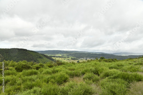 Photos Végétation sauvage sur les collines sous un ciel humide à Vielsalm (Verviers)