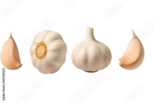 Whole Garlic Bulb and Cloves from Multiple Angles Isolated on Transparent Background