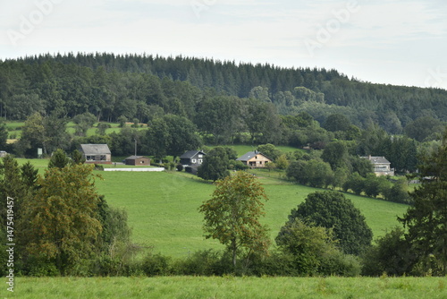 Le village de Bra dissimulé dans la végétation luxuriante d'une colline boisée à Lierneux (Verviers)