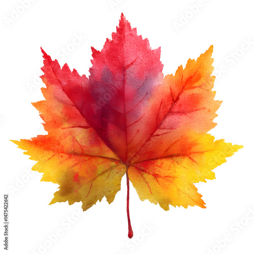 Vibrant Watercolor Autumn Maple Leaf Illustration