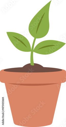 Green cute houseplant in a ceramic pot. Home garden, cultivation, nature or planting theme. Vector isolated illustration.
