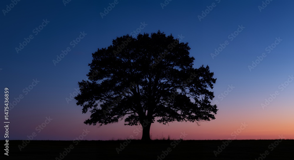 Obraz premium Silhouette of a Majestic Tree Against a Colorful Twilight Sky