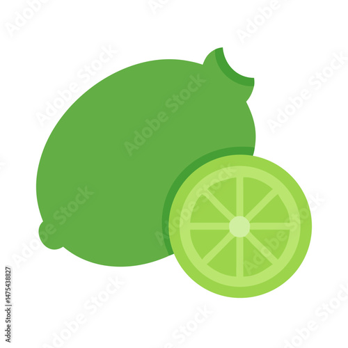Lime and Slice, Citrus Fruit Vector Illustration