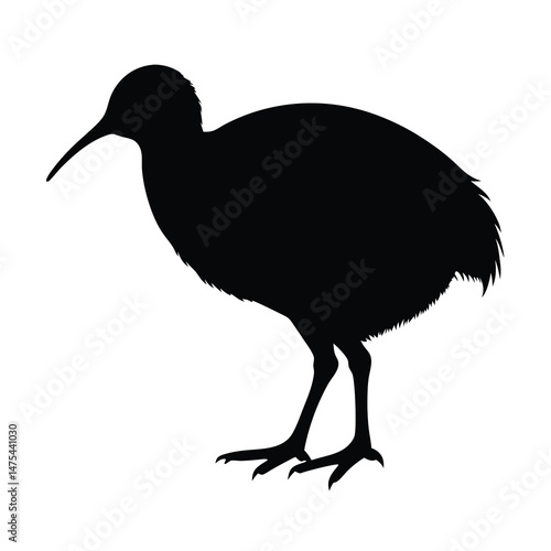 kiwi bird silhouette vector 