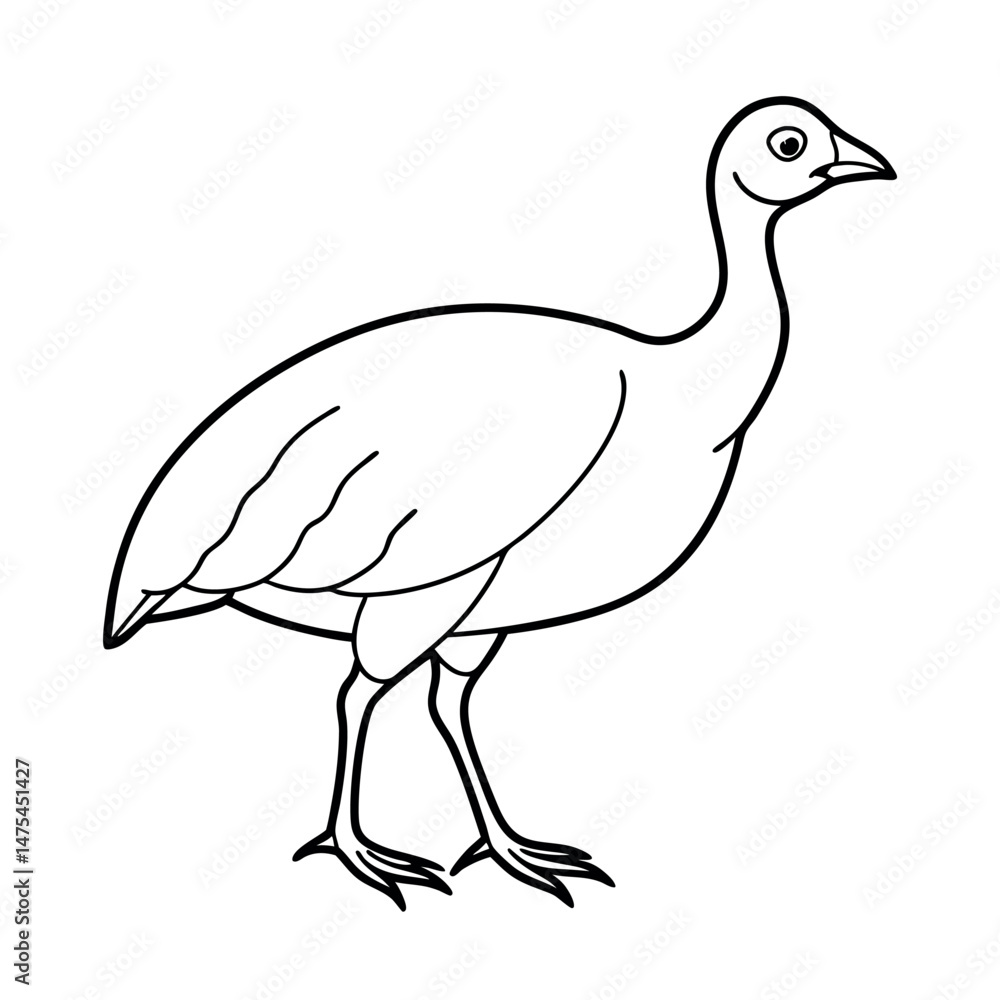 Simple Tinamou Bird Line Art Graphic Simple Tinamou Bird Line Art Graphic
