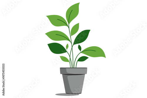 Potted green plant growing in a simple pot against white background  
