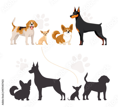 Group of cartoon-style dog breeds with matching black silhouettes on white background with paw prints, concept of dog identification. Vector illustration